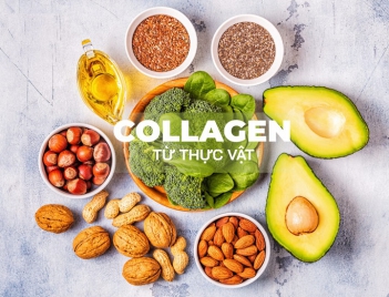 Collagen thực vật là gì và tác dụng của nó?